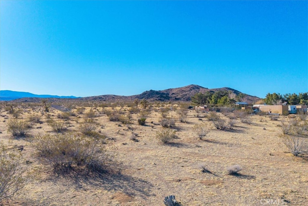 MLS #JT25232258 image #14