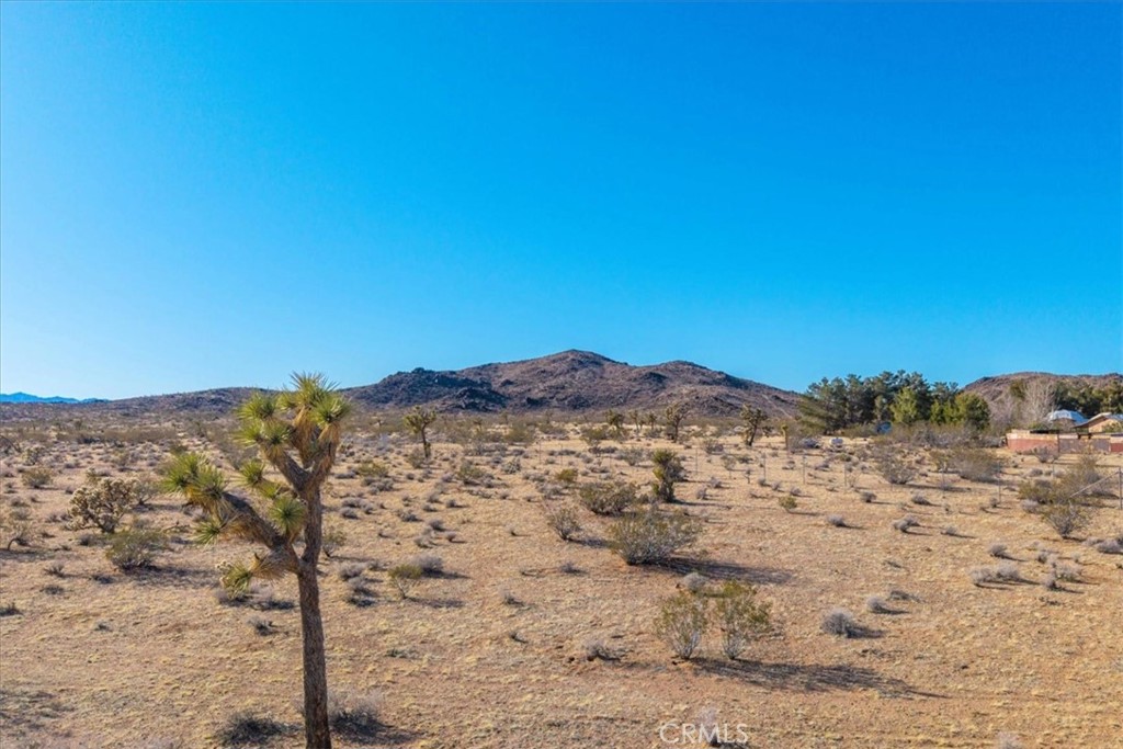 MLS #JT25232258 image #15