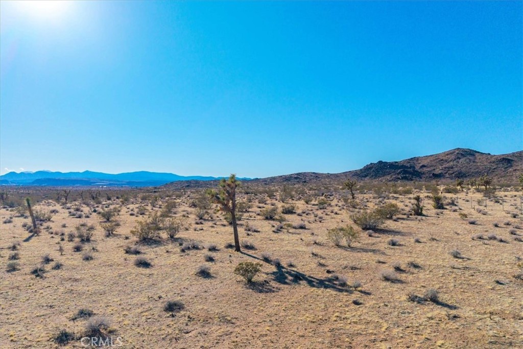 MLS #JT25232258 image #16