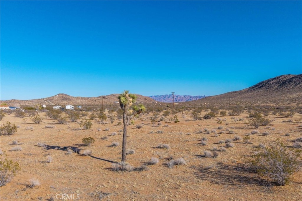 MLS #JT25232258 image #17