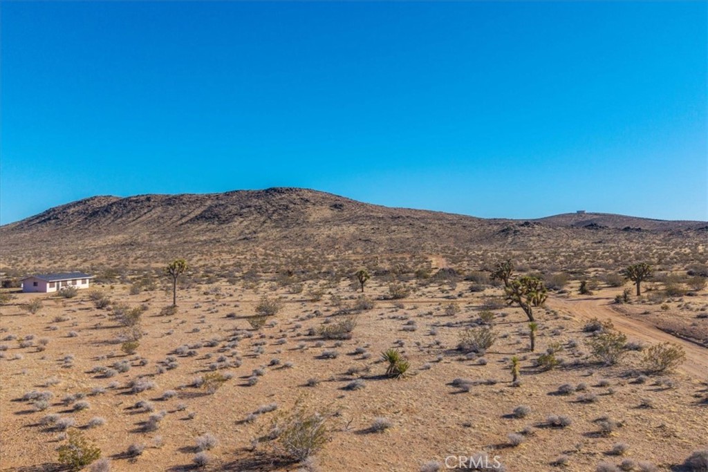 MLS #JT25232258 image #19