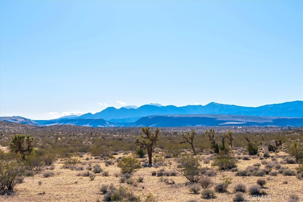 MLS #JT25232258 image #9