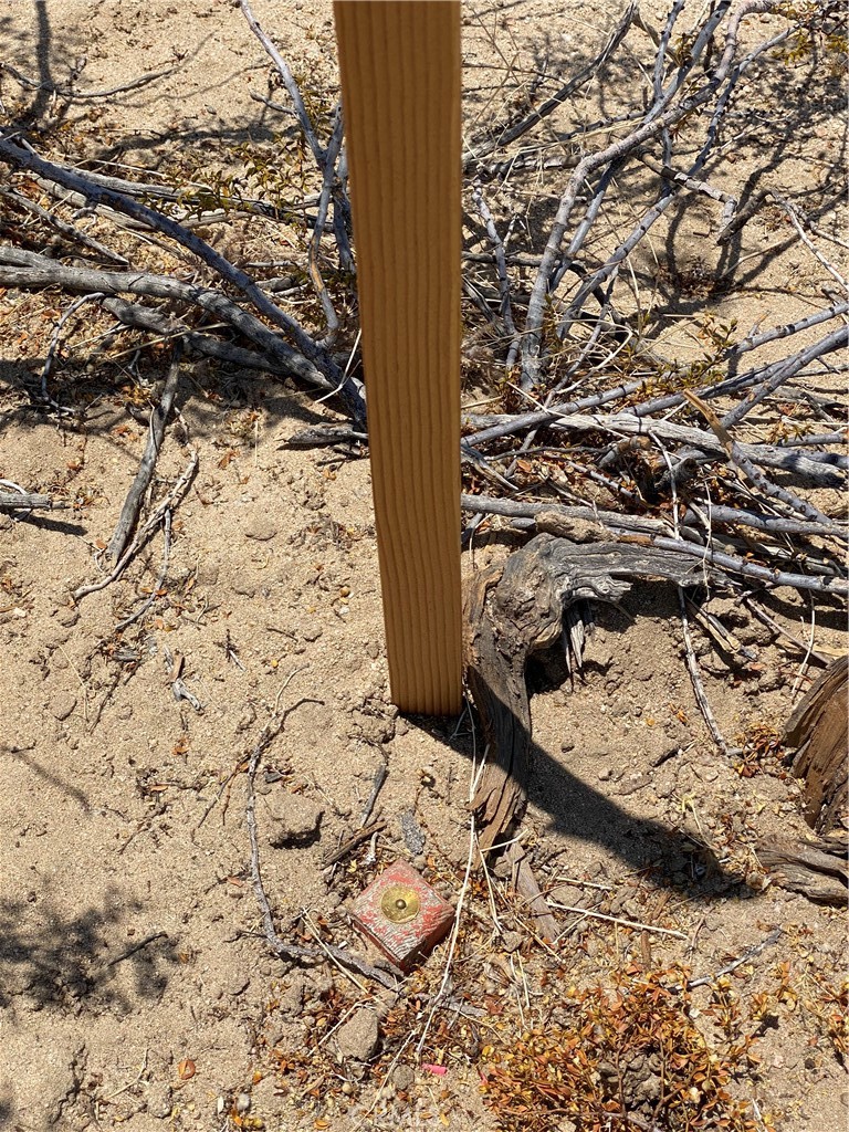 MLS #JT25232457 image #13