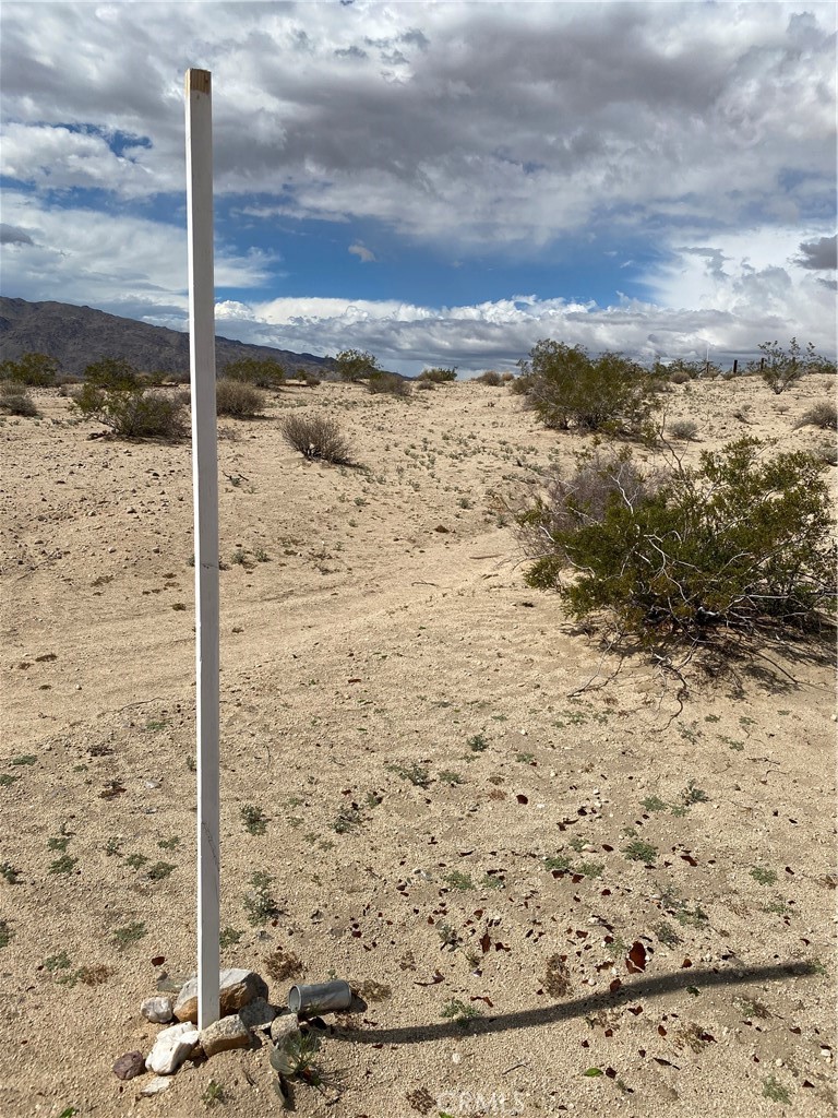 MLS #JT25232457 image #15