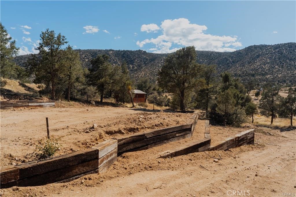 MLS #JT25232713 image #38