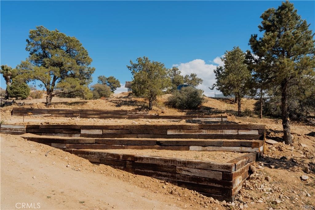 MLS #JT25232713 image #39