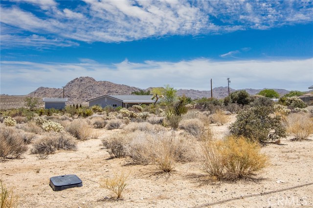 MLS #JT25232852 image #11