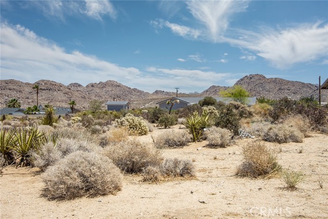 MLS #JT25232852 image #12