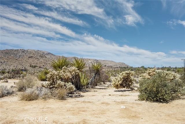 MLS #JT25232852 image #13