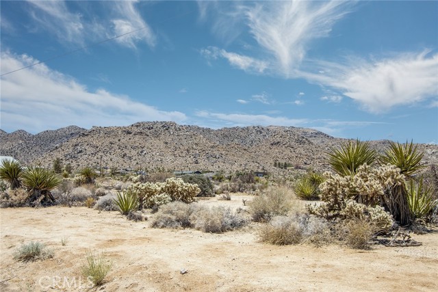 MLS #JT25232852 image #14