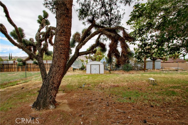 MLS #JT25233168 image #19