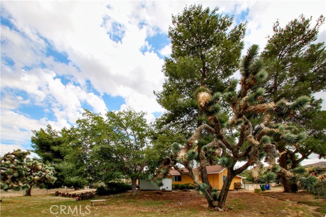 MLS #JT25233168 image #21