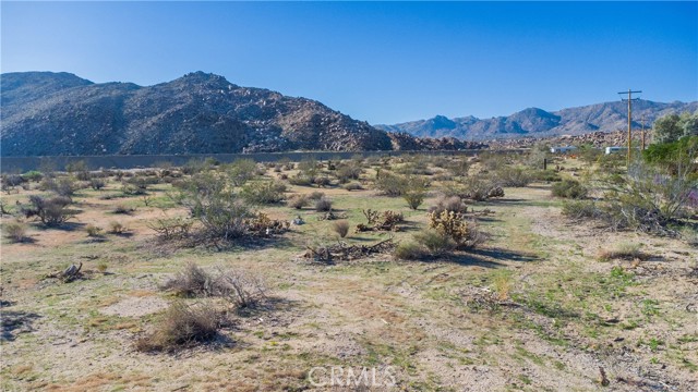 MLS #JT25234693 image #4