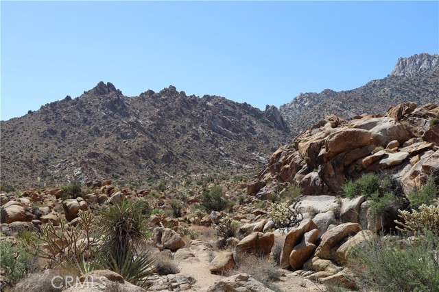 MLS #JT25234703 image #5