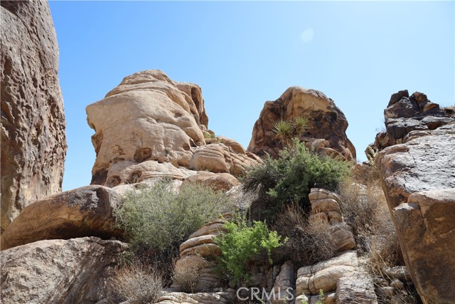 MLS #JT25234703 image #7