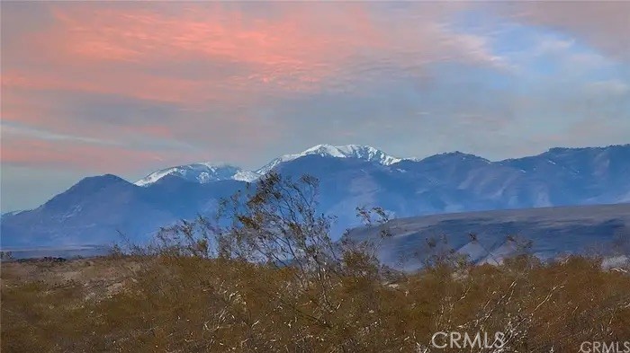 MLS #JT25235960 image #4