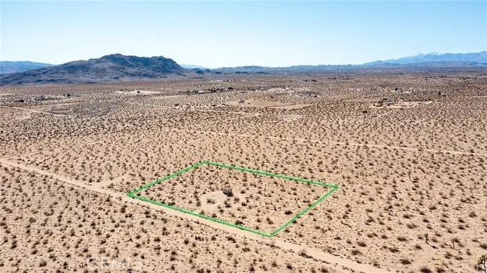 MLS #JT25235960 image #7