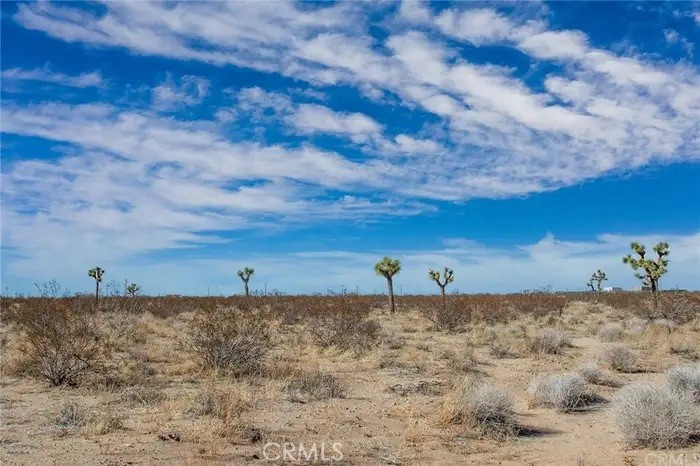 MLS #JT25235960 image #9