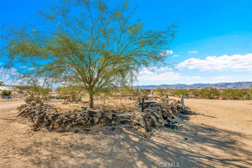 MLS #JT25236475 image #24