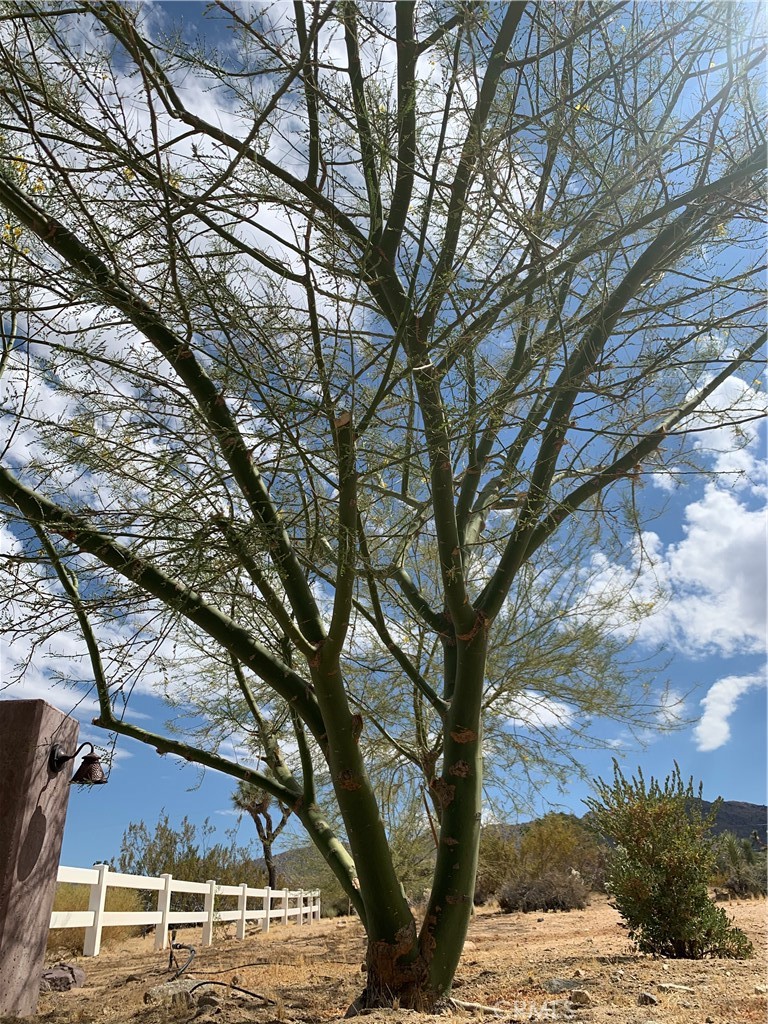 MLS #JT25236881 image #21