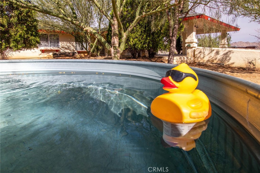 MLS #JT25236881 image #23