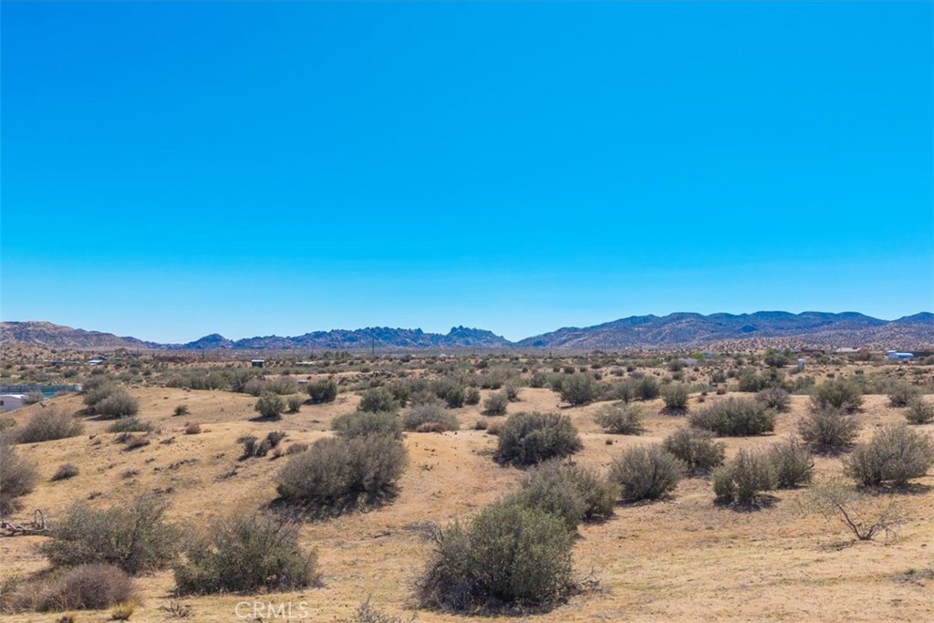 MLS #JT25236911 image #4