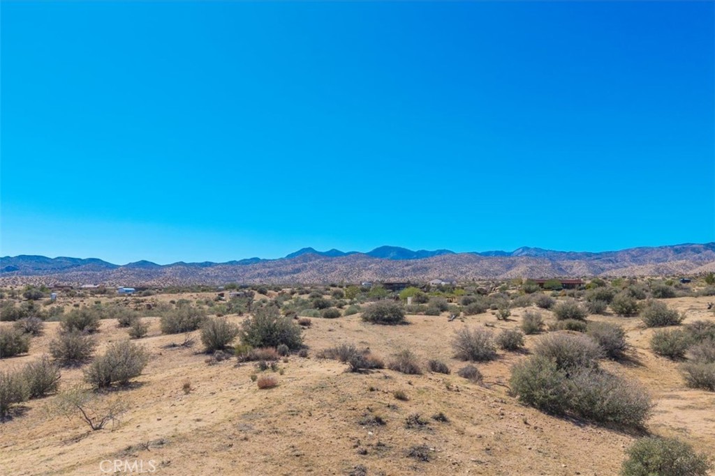 MLS #JT25236911 image #5