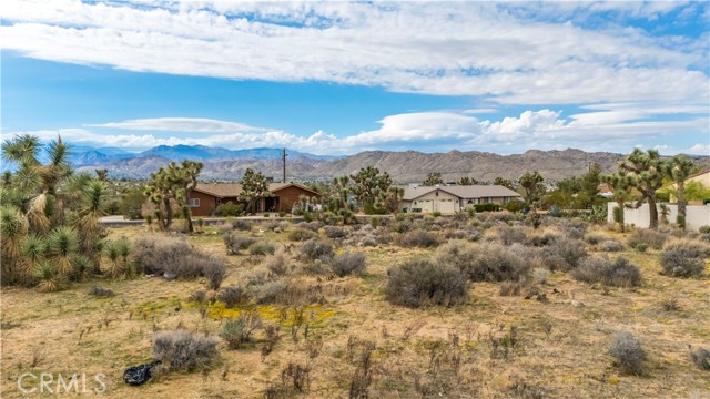 MLS #JT25237211 image #13