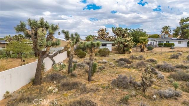 MLS #JT25237211 image #16