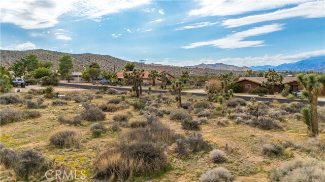 MLS #JT25237211 image #18