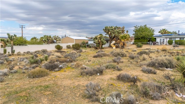 MLS #JT25237211 image #21