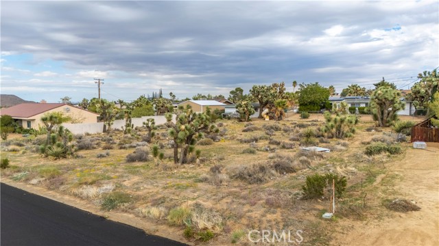 MLS #JT25237211 image #6