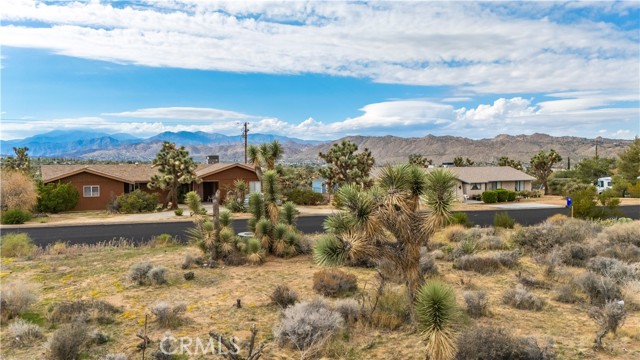 MLS #JT25237211 image #8