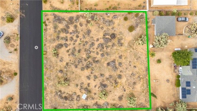 MLS #JT25237211 image #9