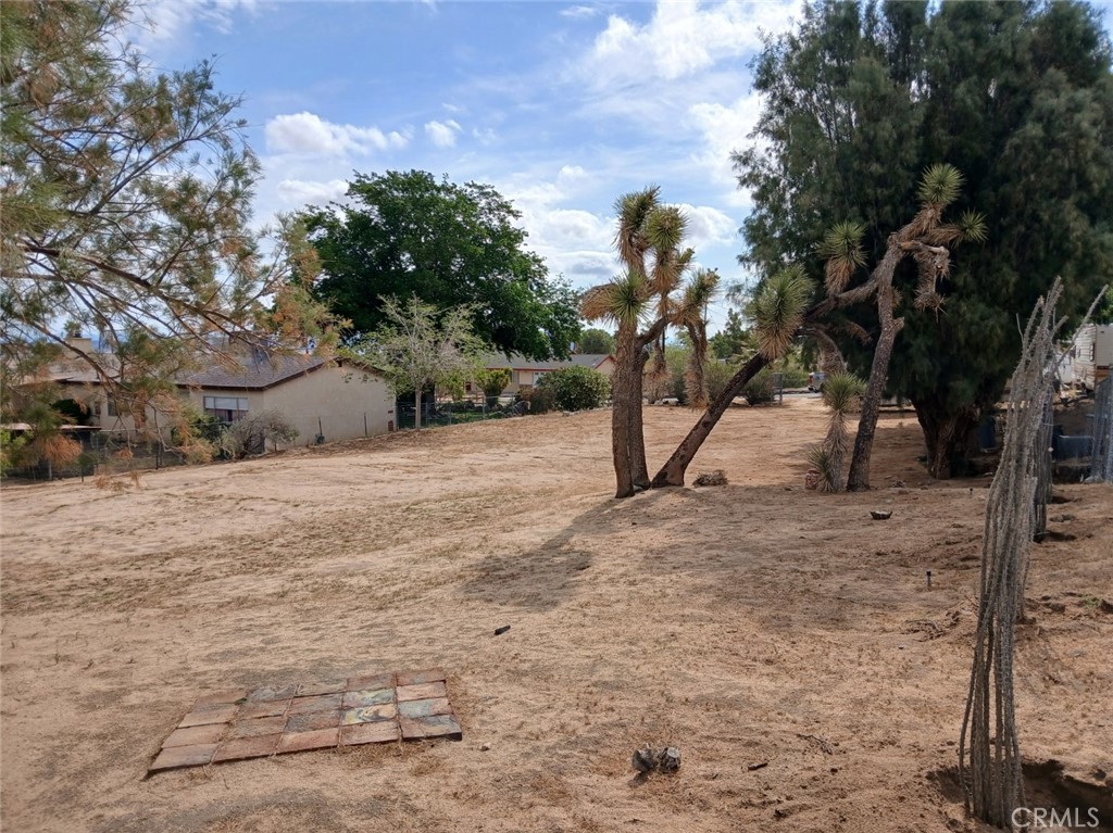 MLS #JT25237947 image #3