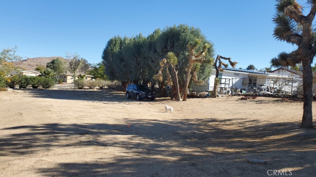 MLS #JT25237947 image #6