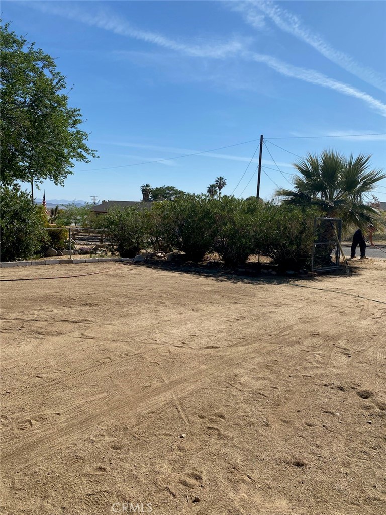 MLS #JT25237947 image #7