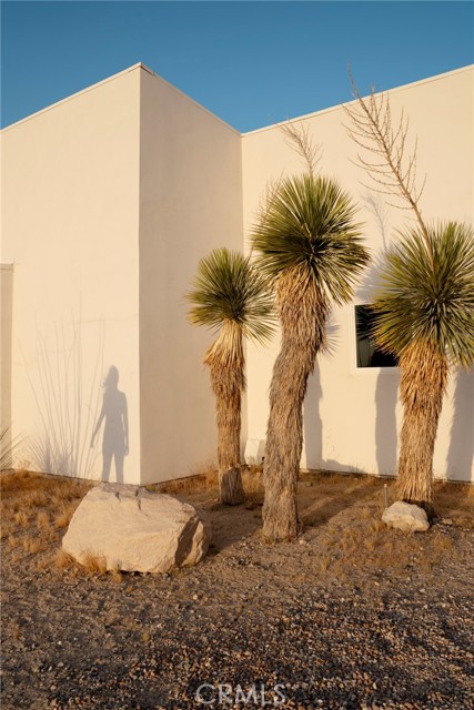 MLS #JT25238438 image #13