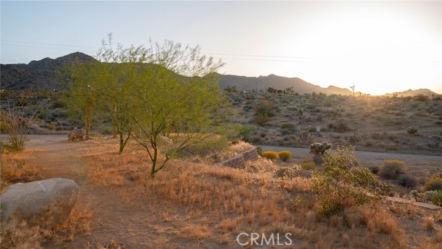 MLS #JT25238438 image #14