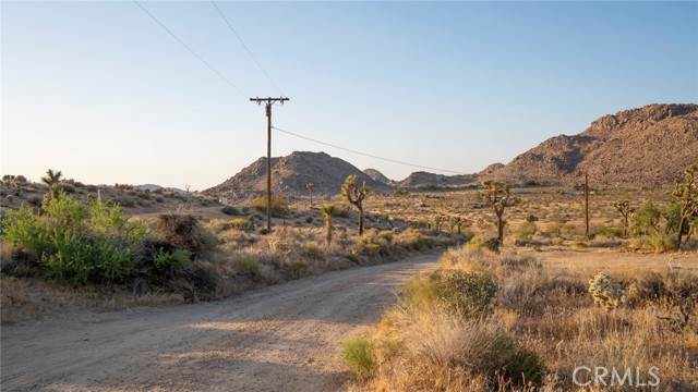 MLS #JT25238438 image #6