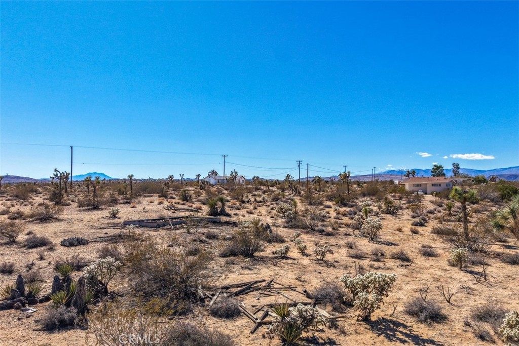 MLS #JT25238689 image #10