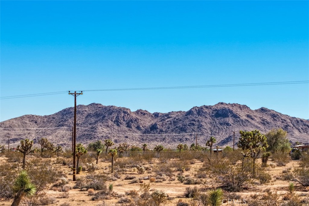 MLS #JT25238689 image #11