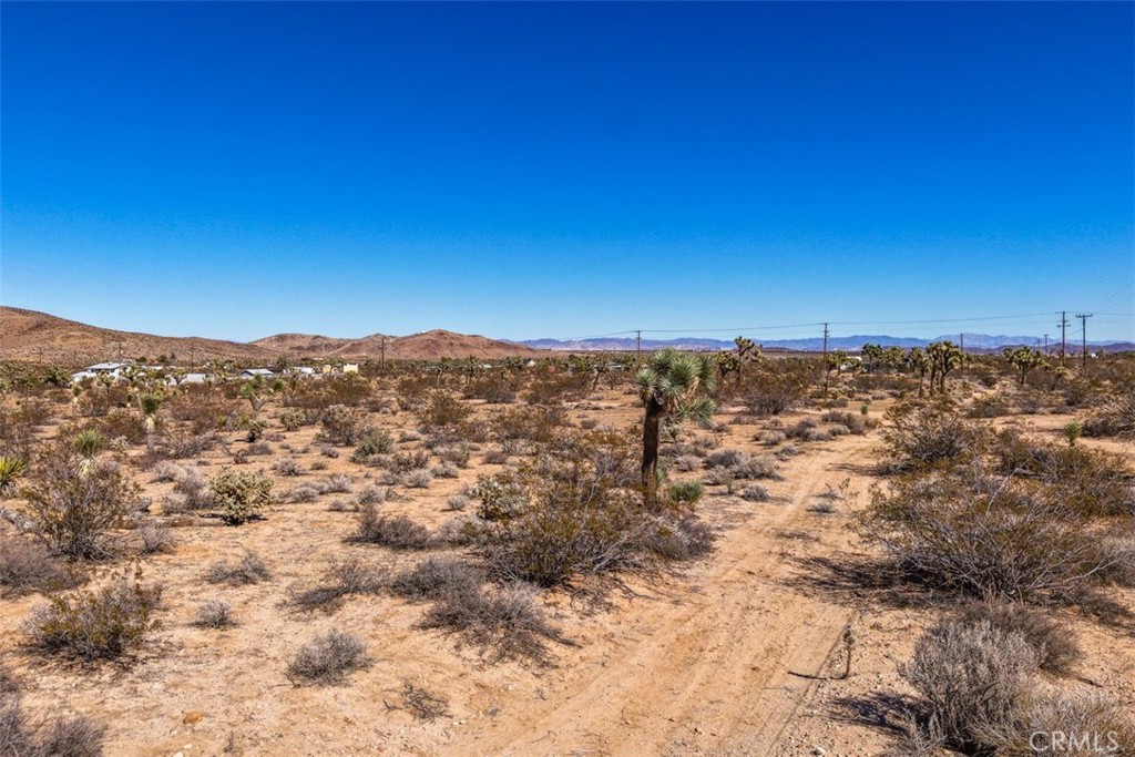 MLS #JT25238689 image #2