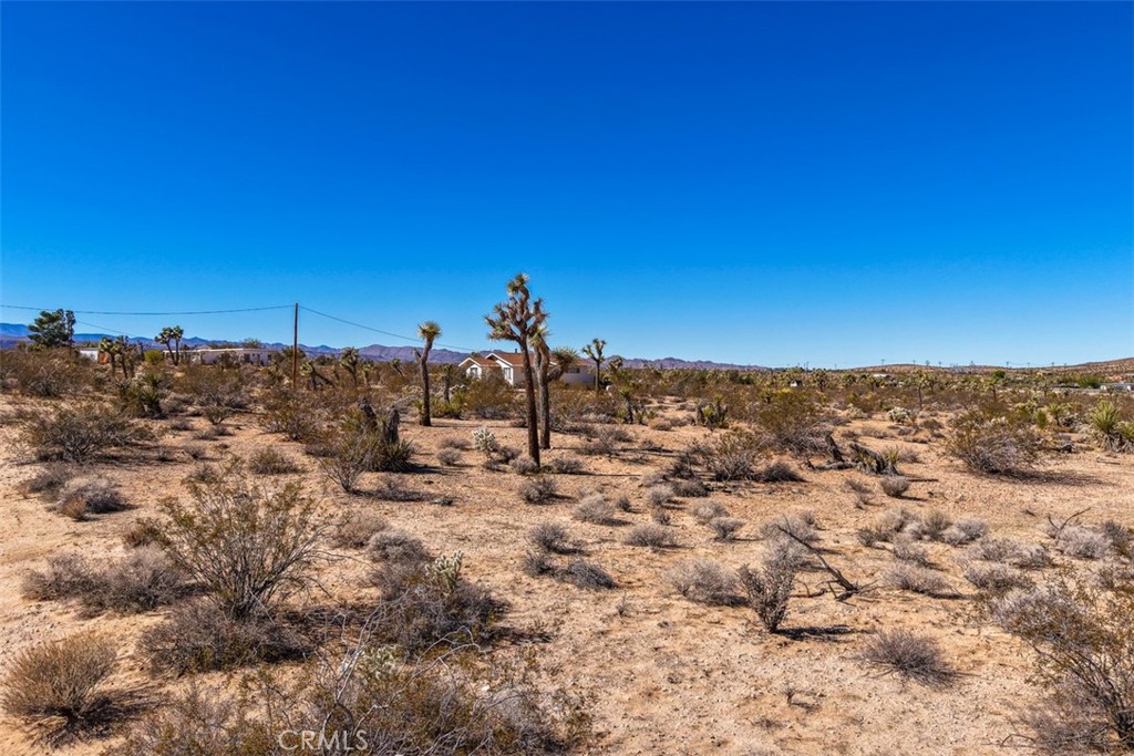 MLS #JT25238689 image #3