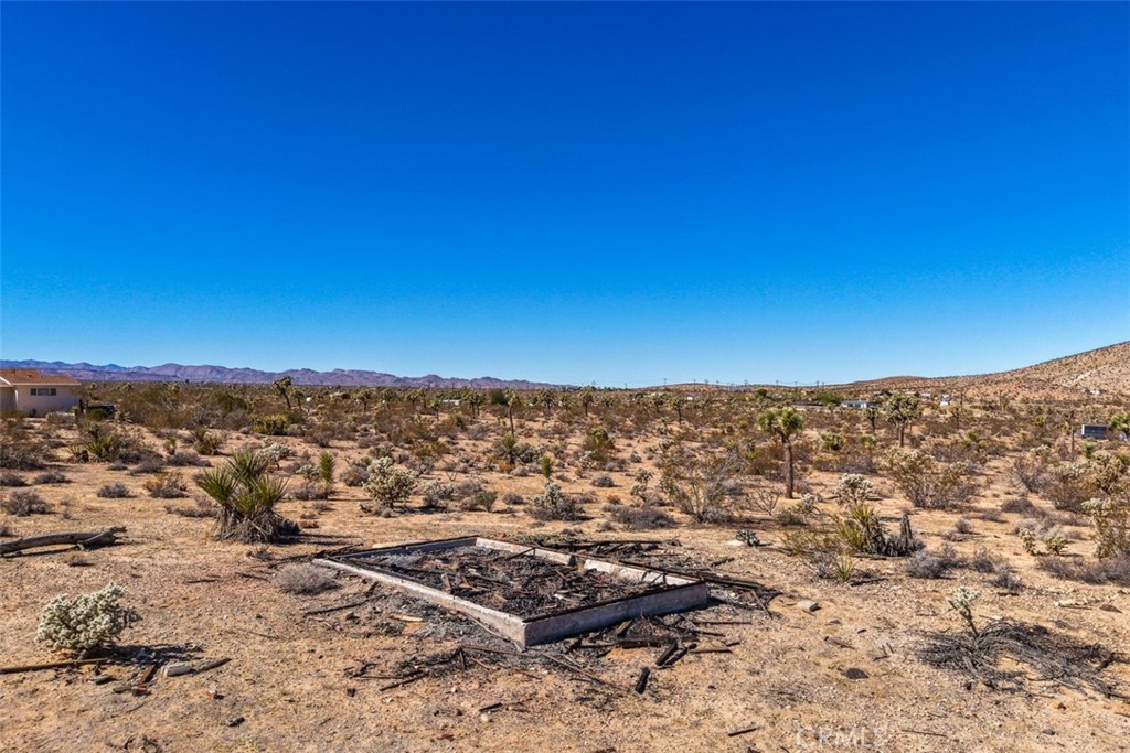 MLS #JT25238689 image #4