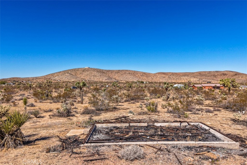 MLS #JT25238689 image #5