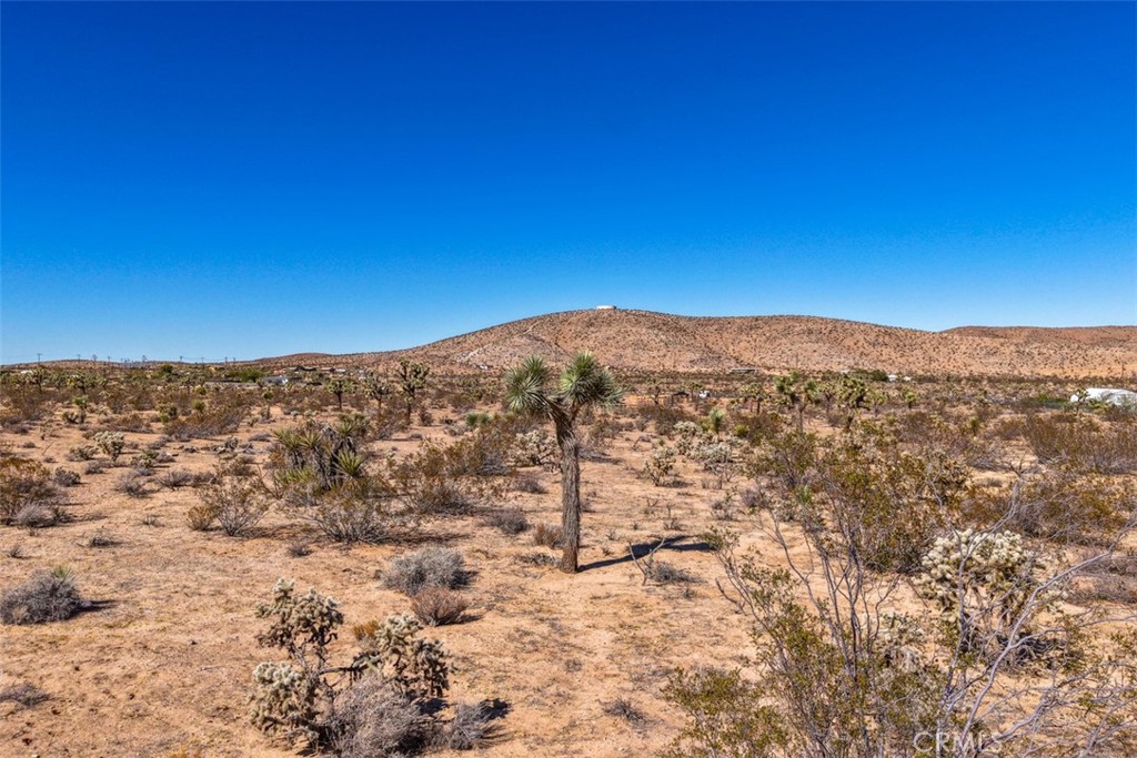 MLS #JT25238689 image #6