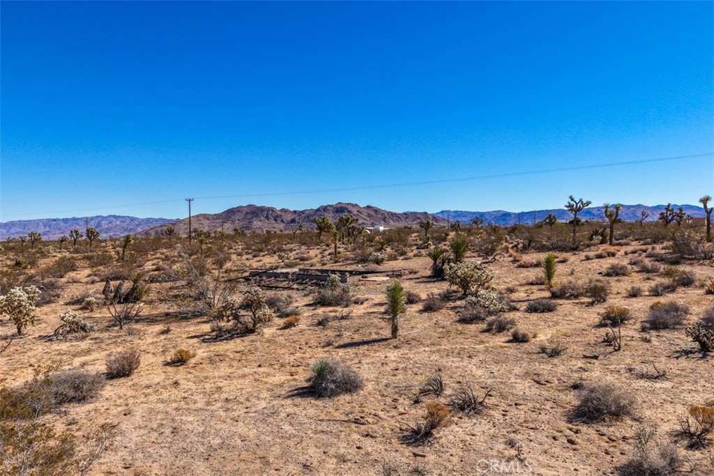 MLS #JT25238689 image #7