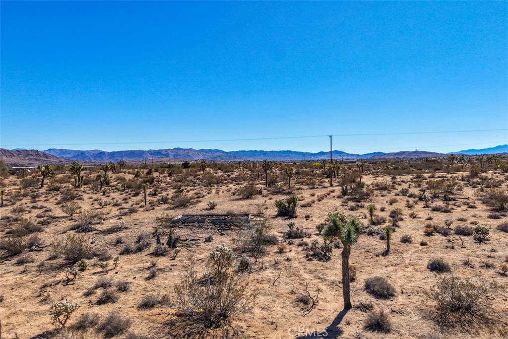 MLS #JT25238689 image #9