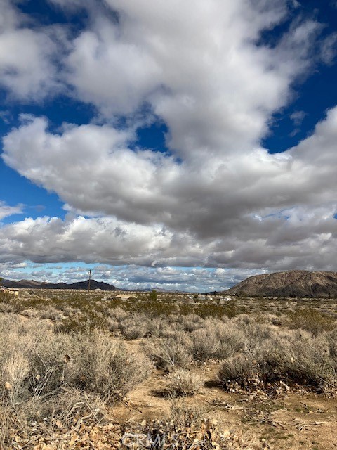 MLS #JT25240217 image #1